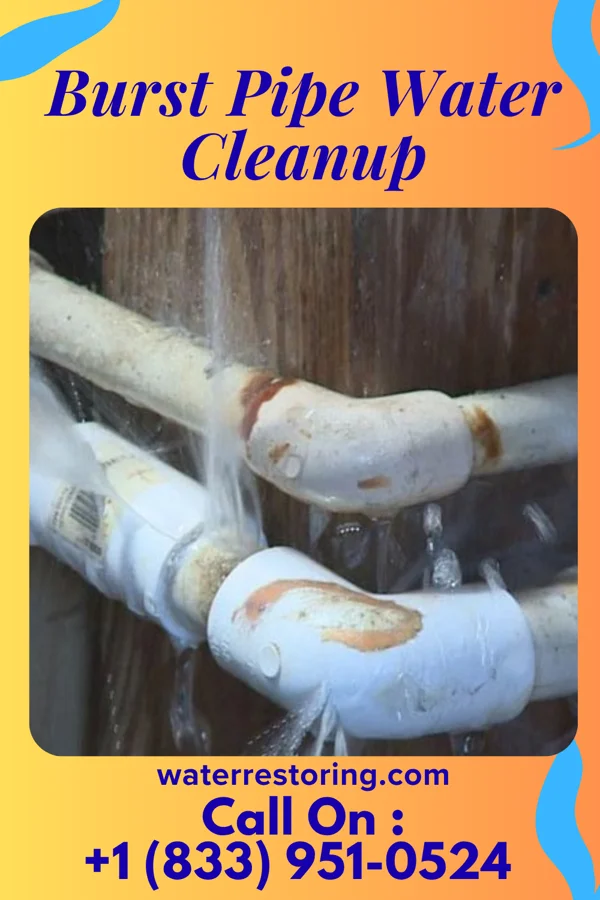 Burst Pipe Water Cleanup in North Charleroi, PA