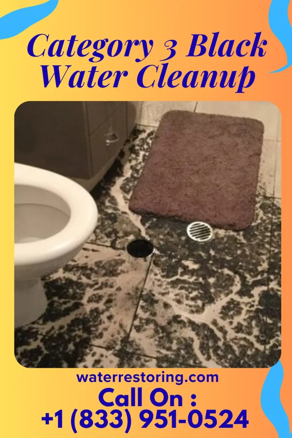 Category 3 Black Water Cleanup in North Charleroi, PA