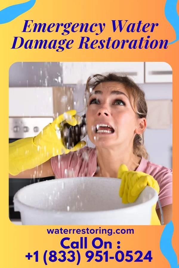 Emergency Water Damage Restoration in North Charleroi, PA