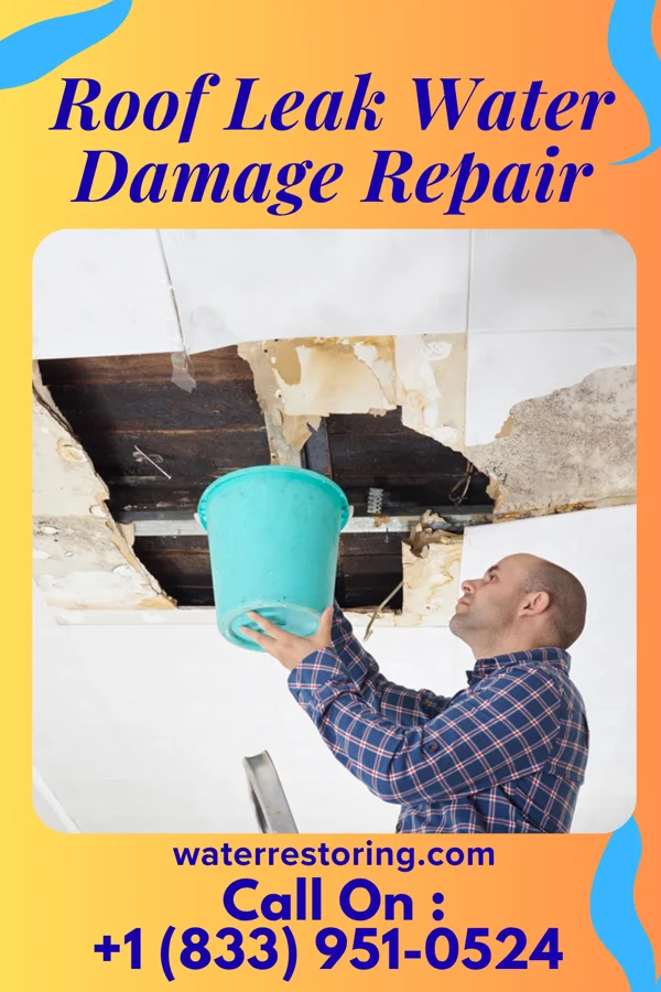 Roof Leak Water Damage Repair in North Charleroi, PA