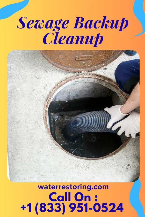 Sewage Backup Cleanup in North Charleroi, PA