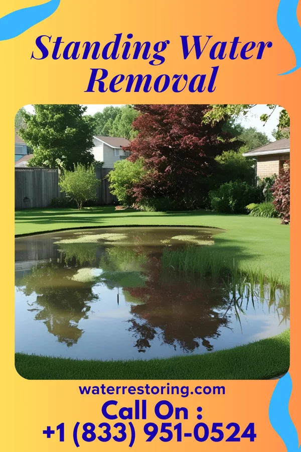 Standing Water Removal in North Charleroi, PA